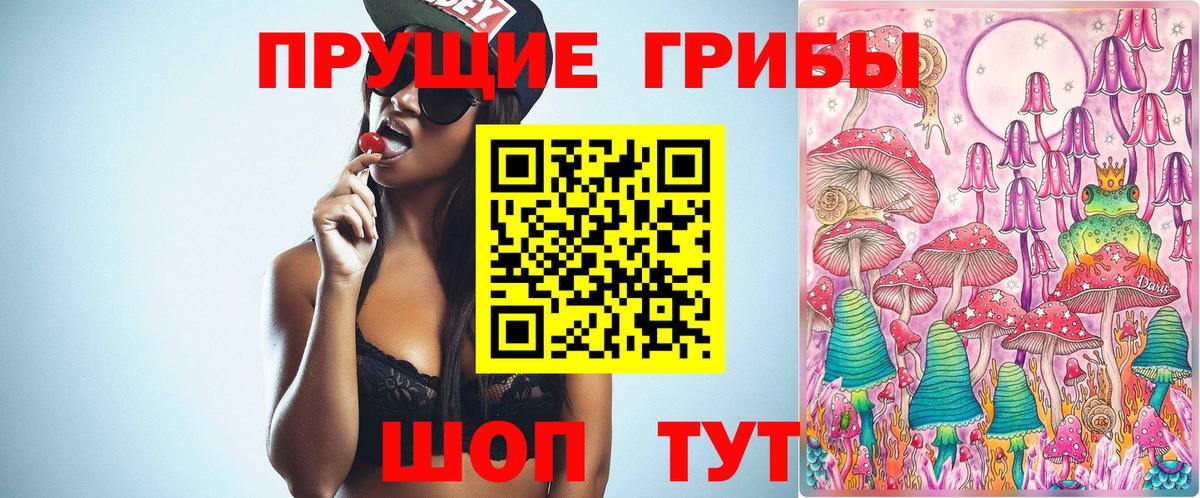 Галлюциногенные грибы MAGIC MUSHROOMS  Вход с VPN  Абинск 